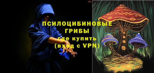 apvp Россошь