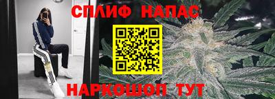 амф Апшеронск