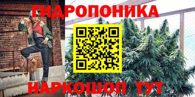 метадон Аргун