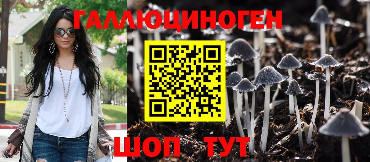 Москва  Псилоцибиновые грибы Psilocybine cubensis  Вход с VPN 