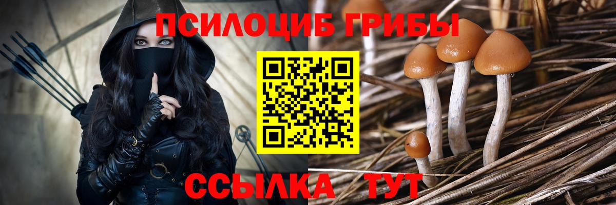 Галлюциногенные грибы прущие грибы Москва