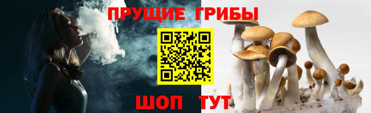 Псилоцибиновые грибы Cubensis  Москва 