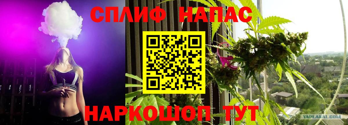 Марихуана конопля Москва